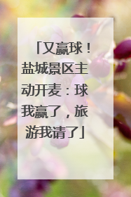 又赢球！盐城景区主动开麦：球我赢了，旅游我请了