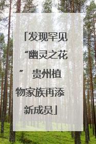 发现罕见“幽灵之花” 贵州植物家族再添新成员