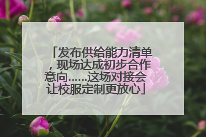 发布供给能力清单，现场达成初步合作意向……这场对接会让校服定制更放心