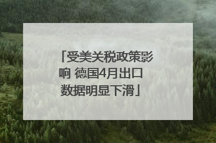 受美关税政策影响 德国4月出口数据明显下滑