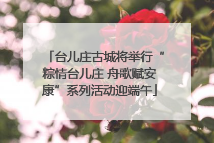 台儿庄古城将举行“粽情台儿庄 舟歌赋安康”系列活动迎端午