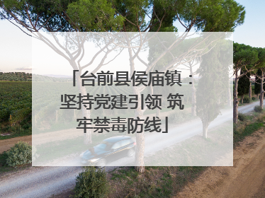台前县侯庙镇：坚持党建引领 筑牢禁毒防线