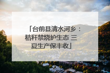 台前县清水河乡：秸秆禁烧护生态 三夏生产保丰收