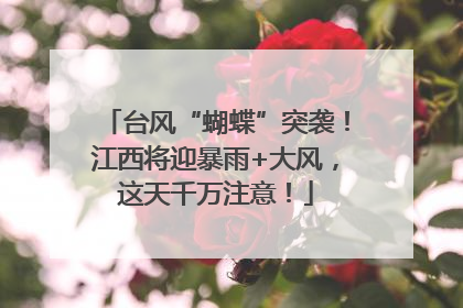 台风“蝴蝶”突袭！江西将迎暴雨+大风，这天千万注意！