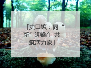 史口镇：同“新”迎端午 共筑活力家