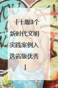十堰3个新时代文明实践案例入选省级优秀
