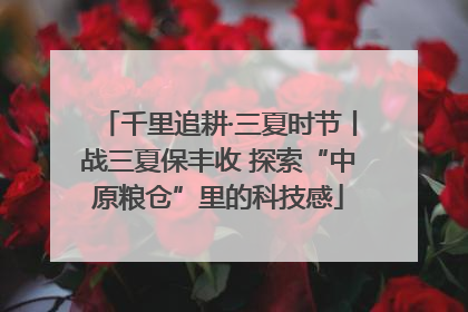 千里追耕·三夏时节丨战三夏保丰收 探索“中原粮仓”里的科技感