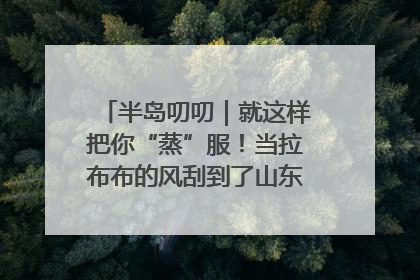 半岛叨叨｜就这样把你“蒸”服！当拉布布的风刮到了山东馒头界……