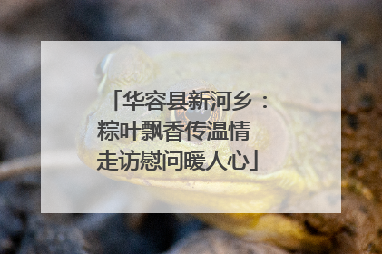 华容县新河乡：粽叶飘香传温情 走访慰问暖人心
