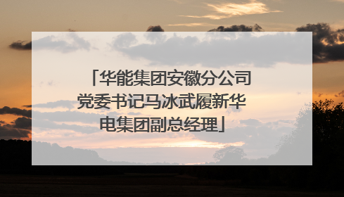 华能集团安徽分公司党委书记马冰武履新华电集团副总经理