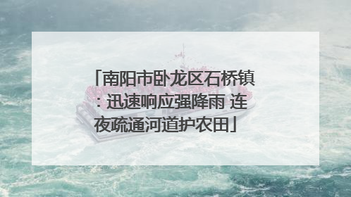 南阳市卧龙区石桥镇：迅速响应强降雨 连夜疏通河道护农田