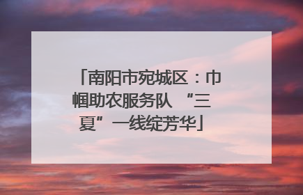 南阳市宛城区：巾帼助农服务队 “三夏”一线绽芳华