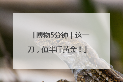 博物5分钟｜这一刀，值半斤黄金！