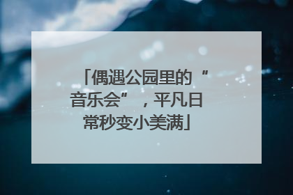 偶遇公园里的“音乐会”，平凡日常秒变小美满