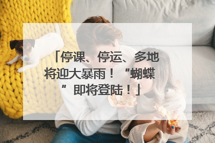 停课、停运、多地将迎大暴雨！“蝴蝶”即将登陆！