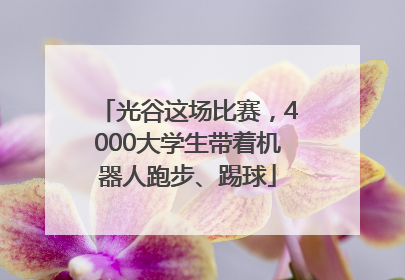 光谷这场比赛，4000大学生带着机器人跑步、踢球