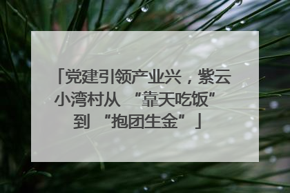 党建引领产业兴，紫云小湾村从 “靠天吃饭” 到 “抱团生金”
