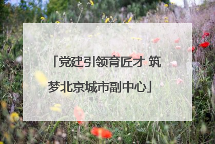 党建引领育匠才 筑梦北京城市副中心
