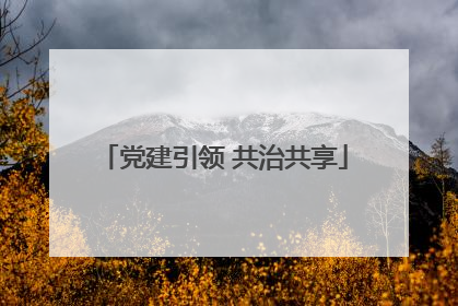 党建引领 共治共享