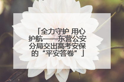 全力守护 用心护航——东营公安分局交出高考安保的“平安答卷”