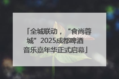 全城联动，“食尚蓉城”2025成都啤酒音乐嘉年华正式启幕