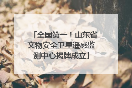 全国第一！山东省文物安全卫星遥感监测中心揭牌成立