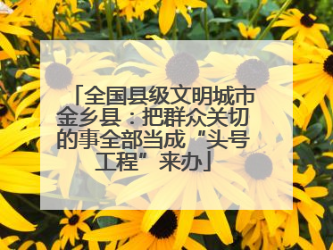 全国县级文明城市金乡县：把群众关切的事全部当成“头号工程”来办