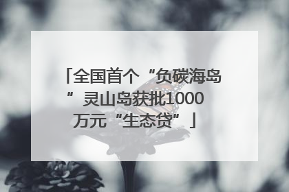 全国首个“负碳海岛”灵山岛获批1000万元“生态贷”