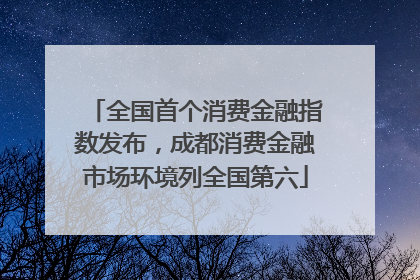 全国首个消费金融指数发布，成都消费金融市场环境列全国第六
