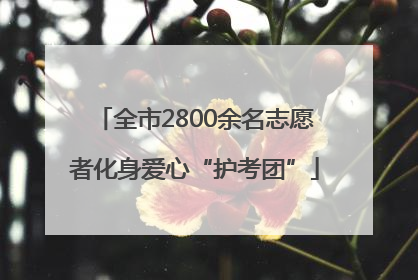 全市2800余名志愿者化身爱心“护考团”