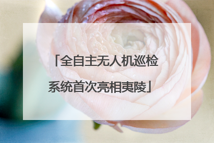 全自主无人机巡检系统首次亮相夷陵