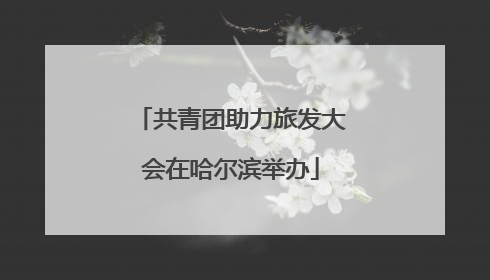 共青团助力旅发大会在哈尔滨举办