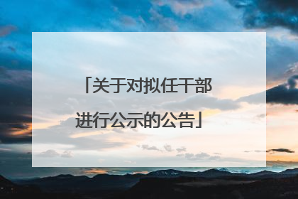 关于对拟任干部进行公示的公告