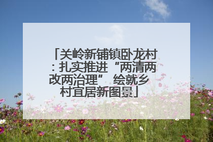 关岭新铺镇卧龙村：扎实推进“两清两改两治理” 绘就乡村宜居新图景