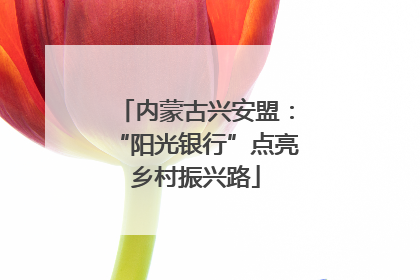 内蒙古兴安盟：“阳光银行”点亮乡村振兴路