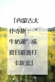 内蒙古太仆寺旗：“牛奶湖”成夏日避暑打卡新宠