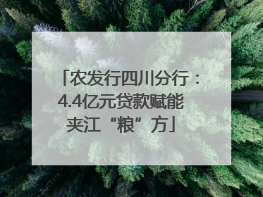 农发行四川分行：4.4亿元贷款赋能夹江“粮”方
