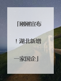 刚刚宣布！湖北新增一家国企
