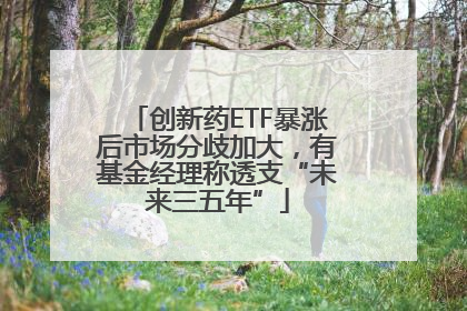 创新药ETF暴涨后市场分歧加大，有基金经理称透支“未来三五年”