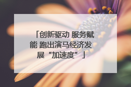 创新驱动 服务赋能 跑出演马经济发展“加速度”