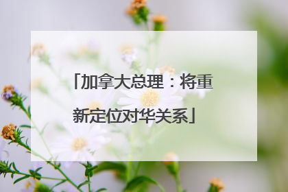 加拿大总理：将重新定位对华关系