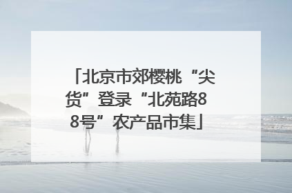 北京市郊樱桃“尖货”登录“北苑路88号”农产品市集