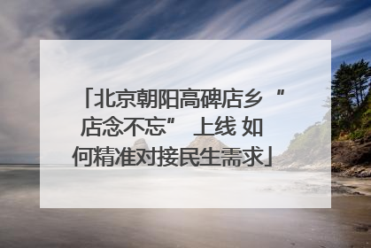 北京朝阳高碑店乡“店念不忘” 上线 如何精准对接民生需求