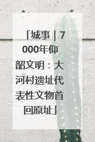 城事｜7000年仰韶文明：大河村遗址代表性文物首回原址