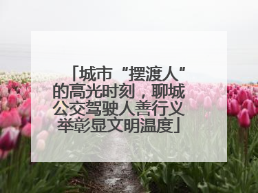 城市“摆渡人”的高光时刻，聊城公交驾驶人善行义举彰显文明温度