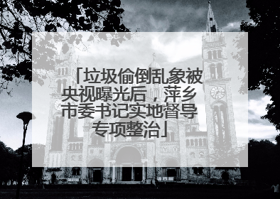 垃圾偷倒乱象被央视曝光后，萍乡市委书记实地督导专项整治