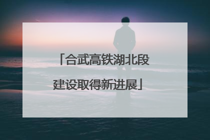 合武高铁湖北段建设取得新进展