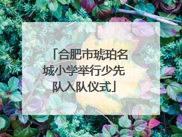 合肥市琥珀名城小学举行少先队入队仪式