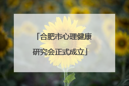 合肥市心理健康研究会正式成立