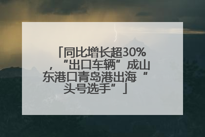 同比增长超30%，“出口车辆”成山东港口青岛港出海“头号选手”